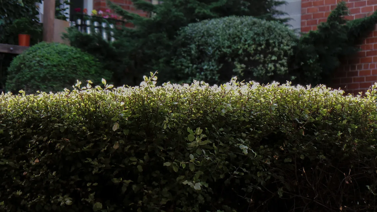 2. Visit the Iconic Adelaide Oval: A Hub for Sports Enthusiasts