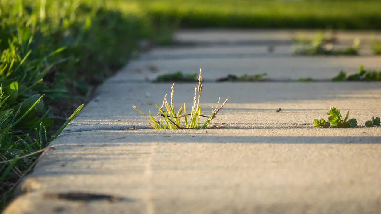 1. Explore the Adelaide Central Market: A Food Lover’s Paradise