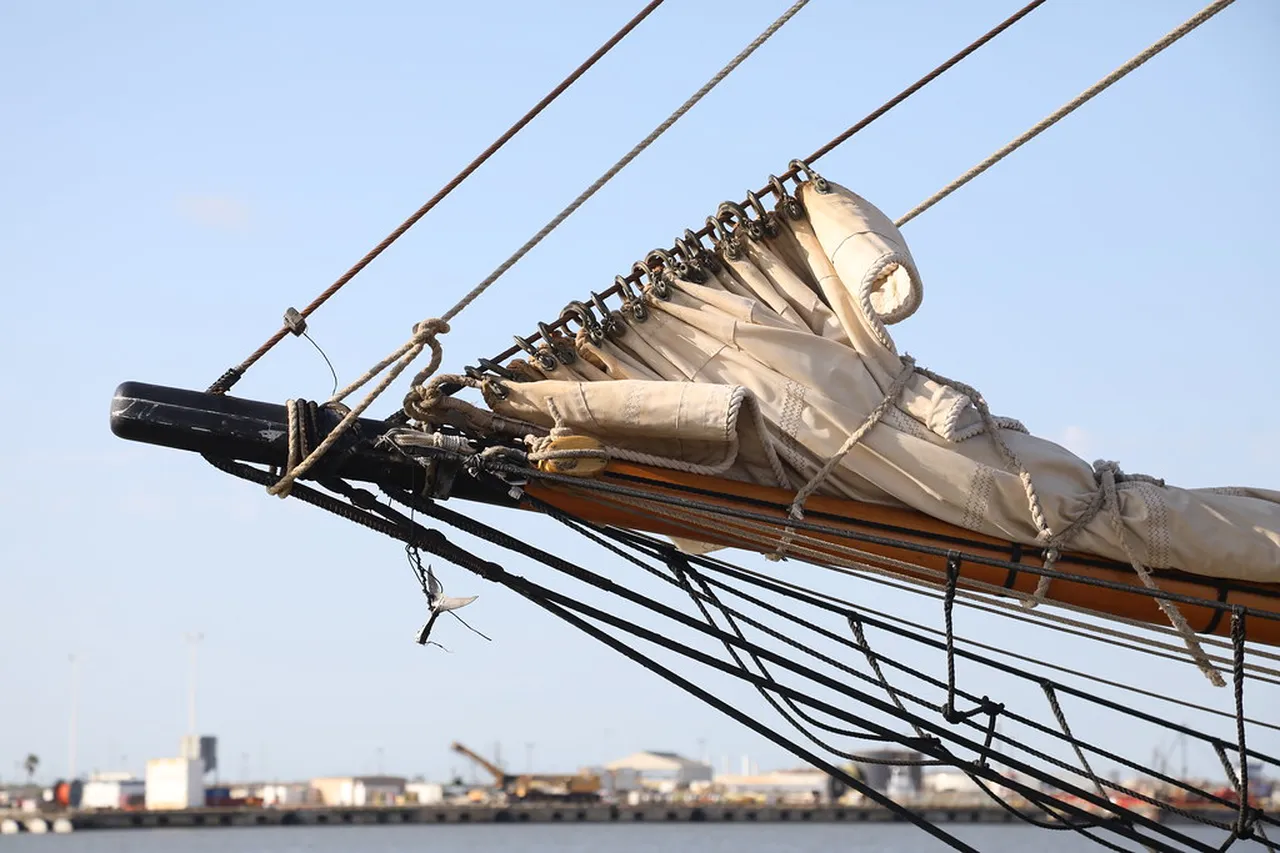 4. Experience the Inner Harbor: Hub of Culture and Entertainment