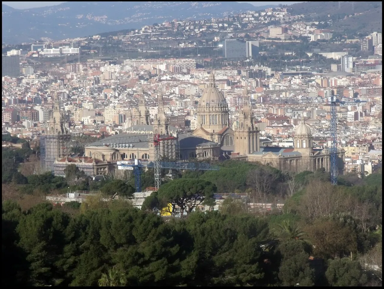 4. Savoring Tapas: A Culinary Tour of Barcelona Culture