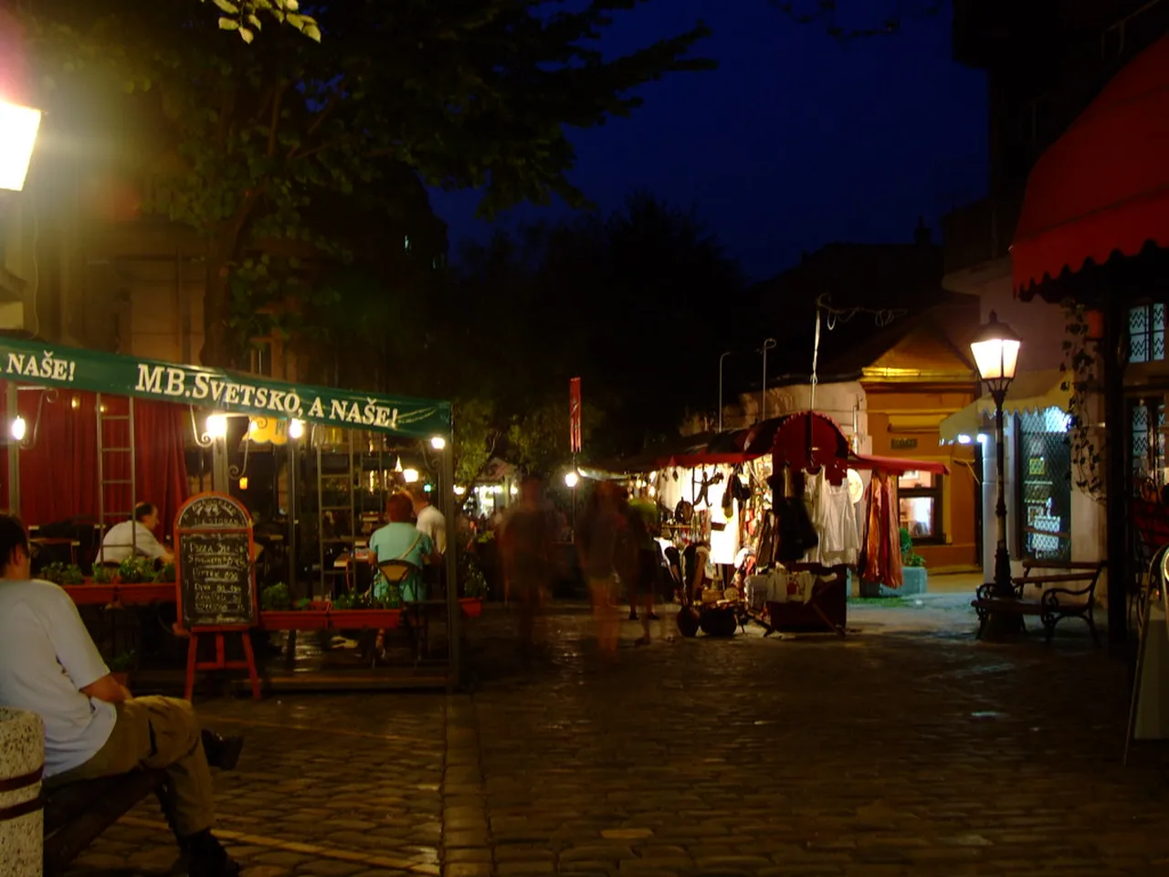 5. Attend a Traditional Serbian Kafana: Music and Cuisine Combined