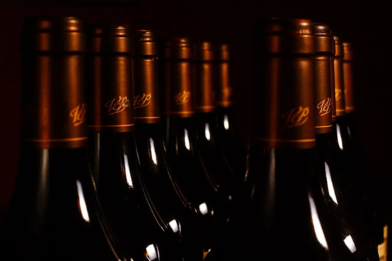 2. Explore the Scenic Vineyards of Saint-Émilion