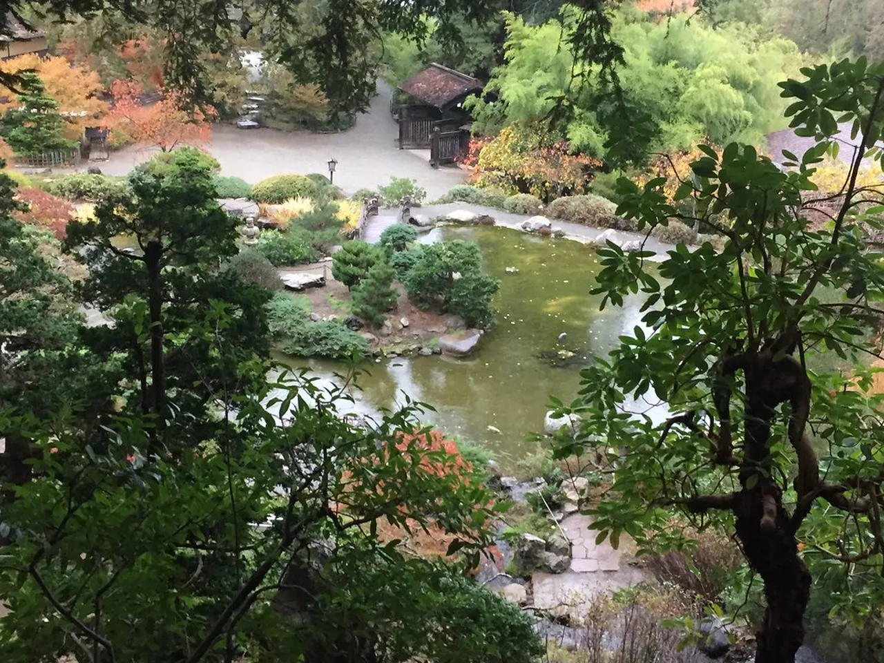 5. Experience Boulder’s Farmers’ Market: Fresh Local Produce