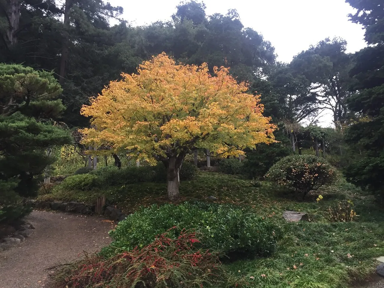 4. Attend the Colorado Shakespeare Festival: A Celebration of Theater