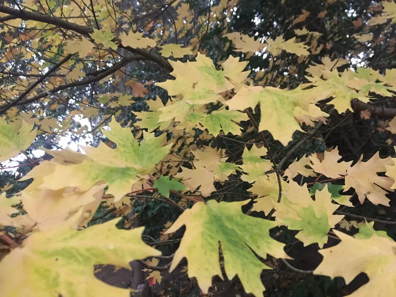 1. Embrace the Arts Scene: Local Galleries and Installations