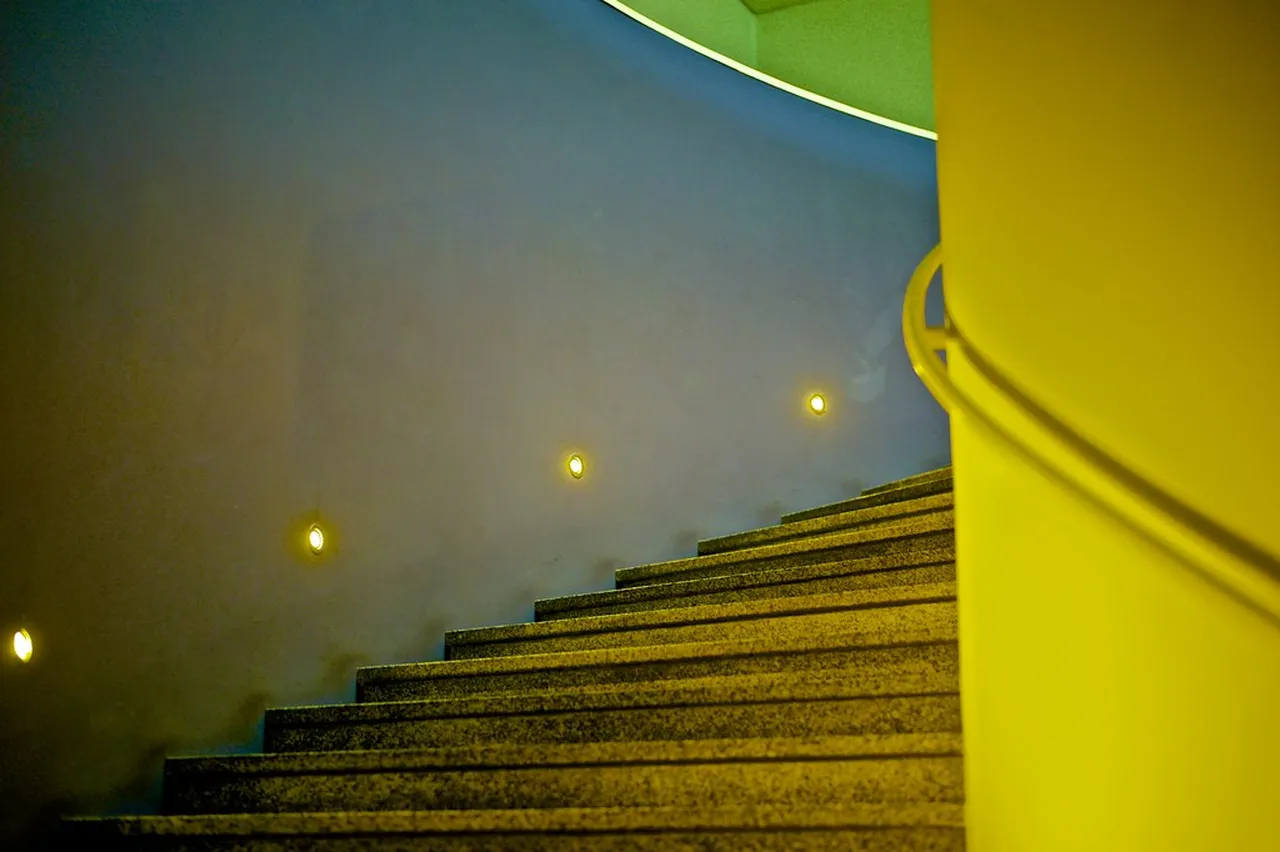 4. Savor the Flavors: Traditional Dishes of Brasília