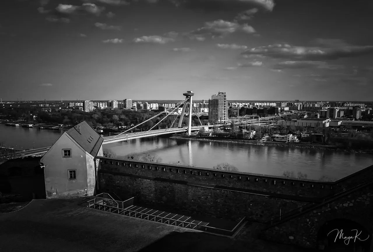 4. The SNP Bridge: A Unique Architectural Wonder