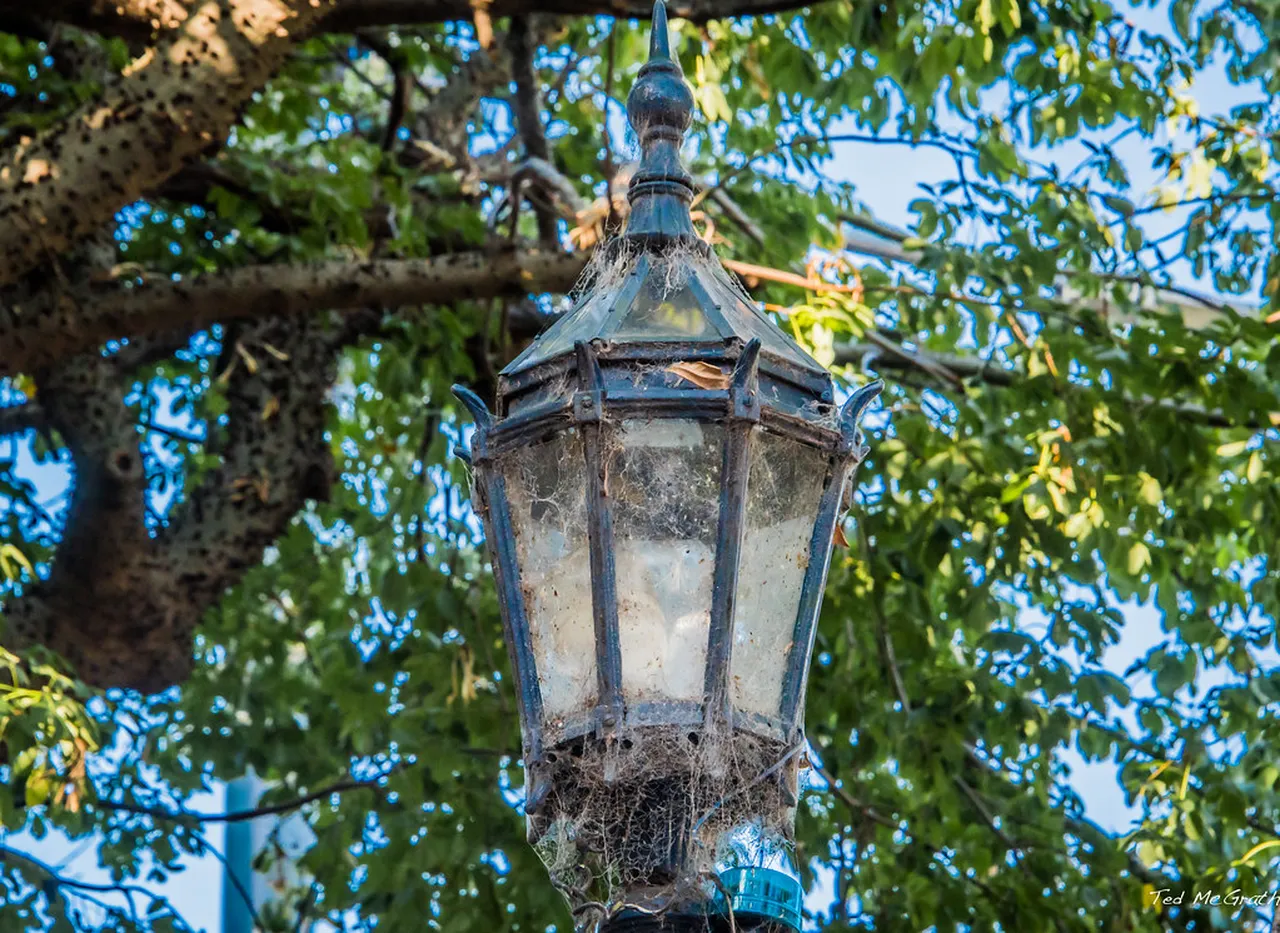 4. Visit Historic Neighborhoods: The Charms of La Boca
