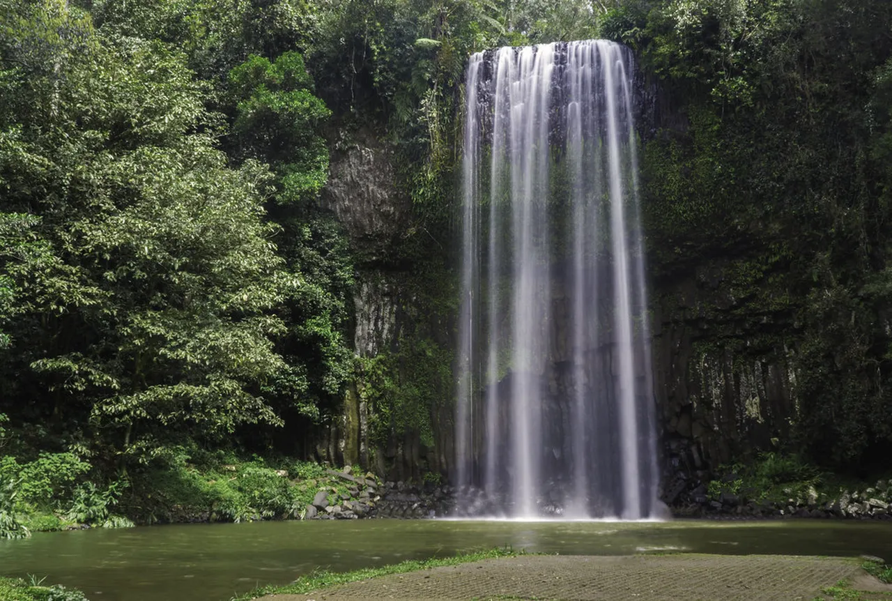 4. Kuranda Scenic Railway: A Majestic Journey Through Nature