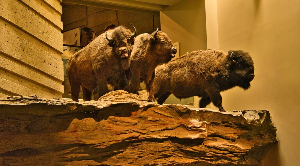 1. Delving into Indigenous Traditions: The Spirit of the Land