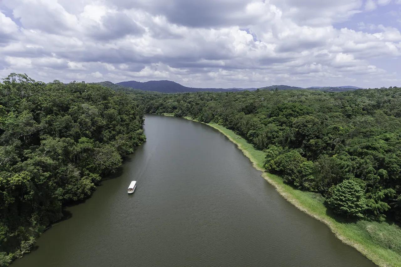 4. Riding the Skyrail Rainforest Cableway: Scenic Views Above the Canopy