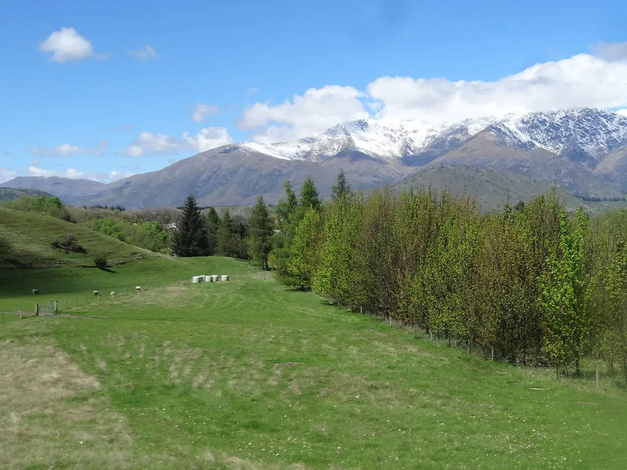 1. Discover the Art Scene in Christchurch: A Blend of Contemporary and Traditional