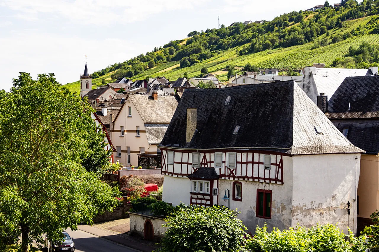 2. Enjoy Cologne Adventures Along the Rhine River: Scenic Cruises and Biking Paths