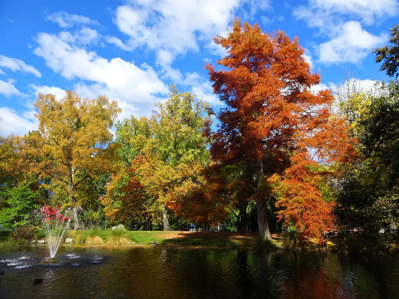 3. Enjoy a Stroll in Fitzgerald Park: Nature and Art Combined