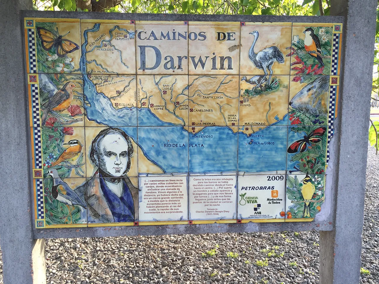 4. Visit the Botanic Gardens: Discover Plants Native to the Darwin Region
