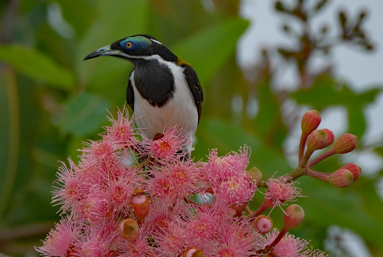 1. Immerse Yourself in Indigenous Culture at the Museum and Art Gallery of the Northern Territory