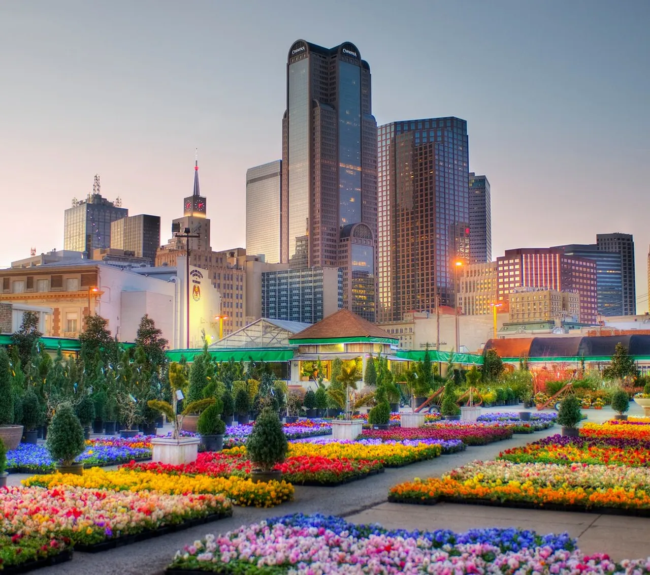 2. Denver Arts Festival: Showcasing Local Talent and Artistry
