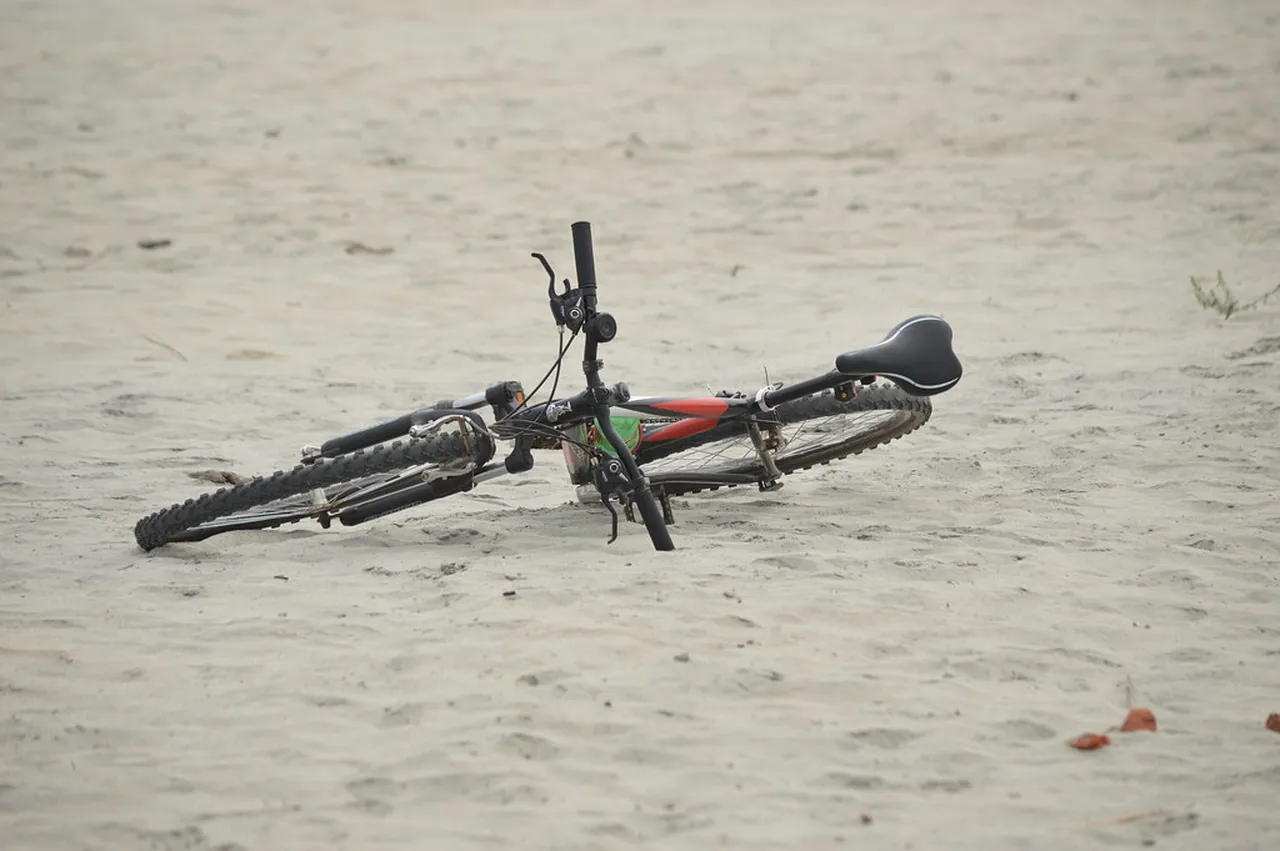 4. Dive into the Art Scene: Visit the Dhaka Art Summit