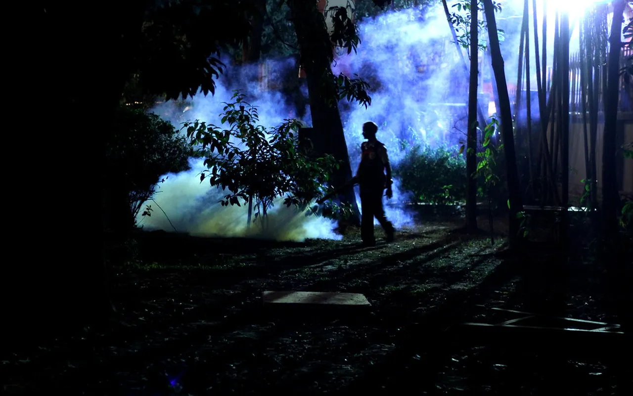 2. Savor Street Food: A Culinary Adventure After Dark