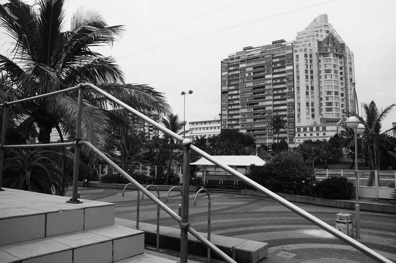 3. Experience the Vibrant South Beach Promenade