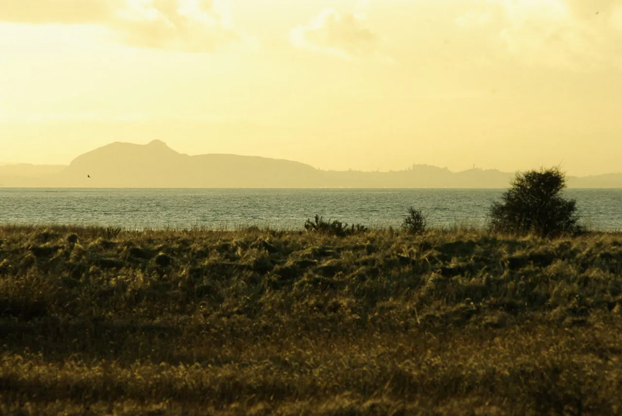3. Arthur’s Seat: Nature’s Crown with a Panoramic View