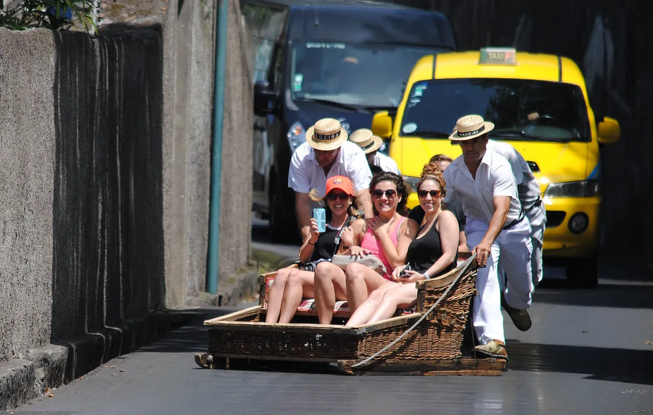 2. Exploring the Majestic Botanical Gardens of Madeira