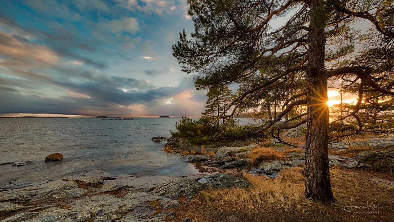 5. Indulge in Finnish Cuisine: Culinary Adventures in Helsinki