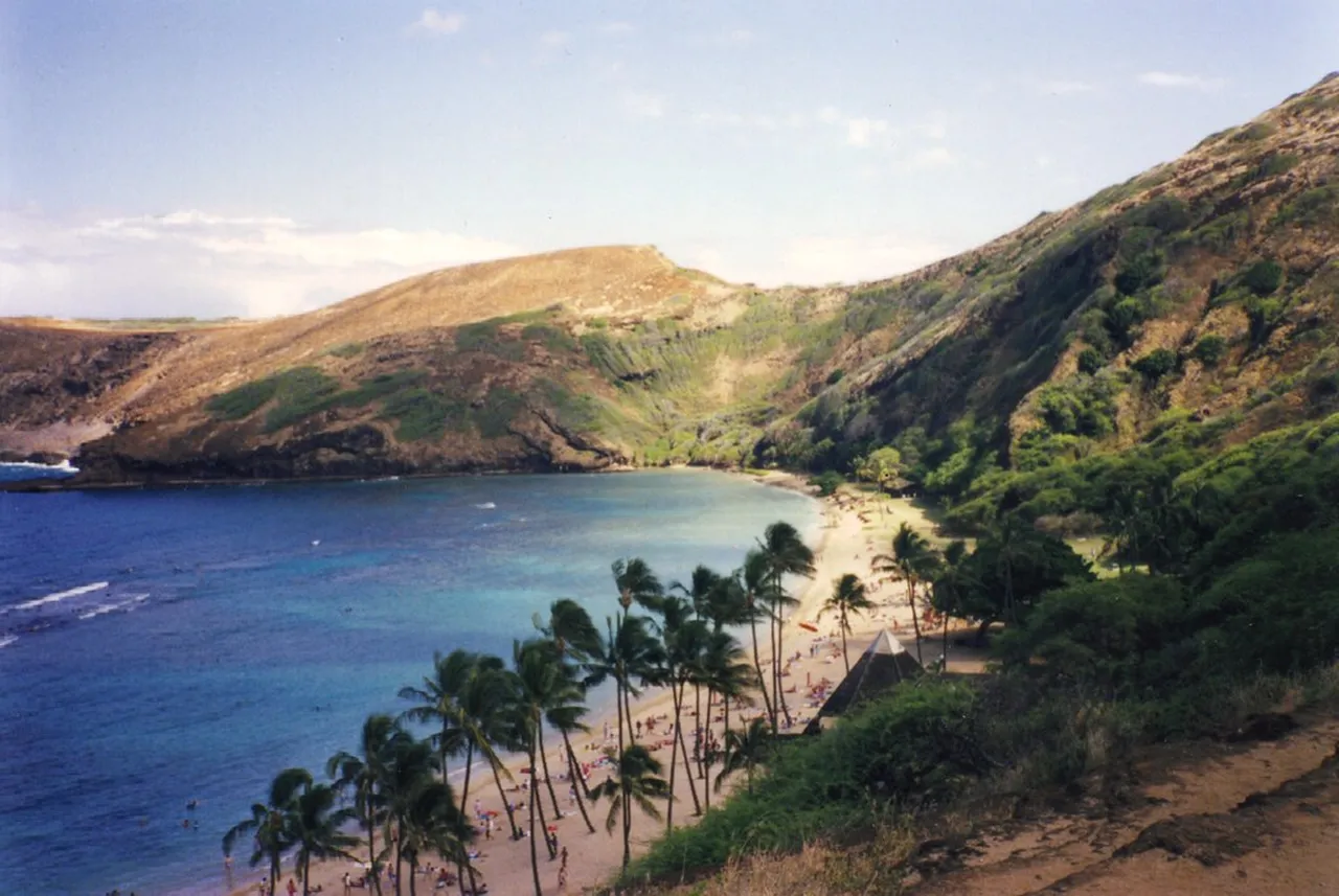 5. Strolling Through the Honolulu Botanical Gardens: Tropical Serenity