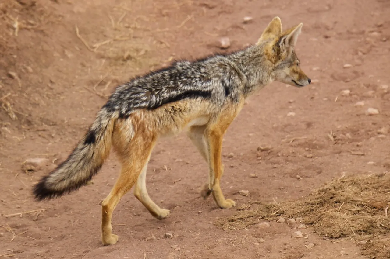 2. Uncovering History at the Apartheid Museum