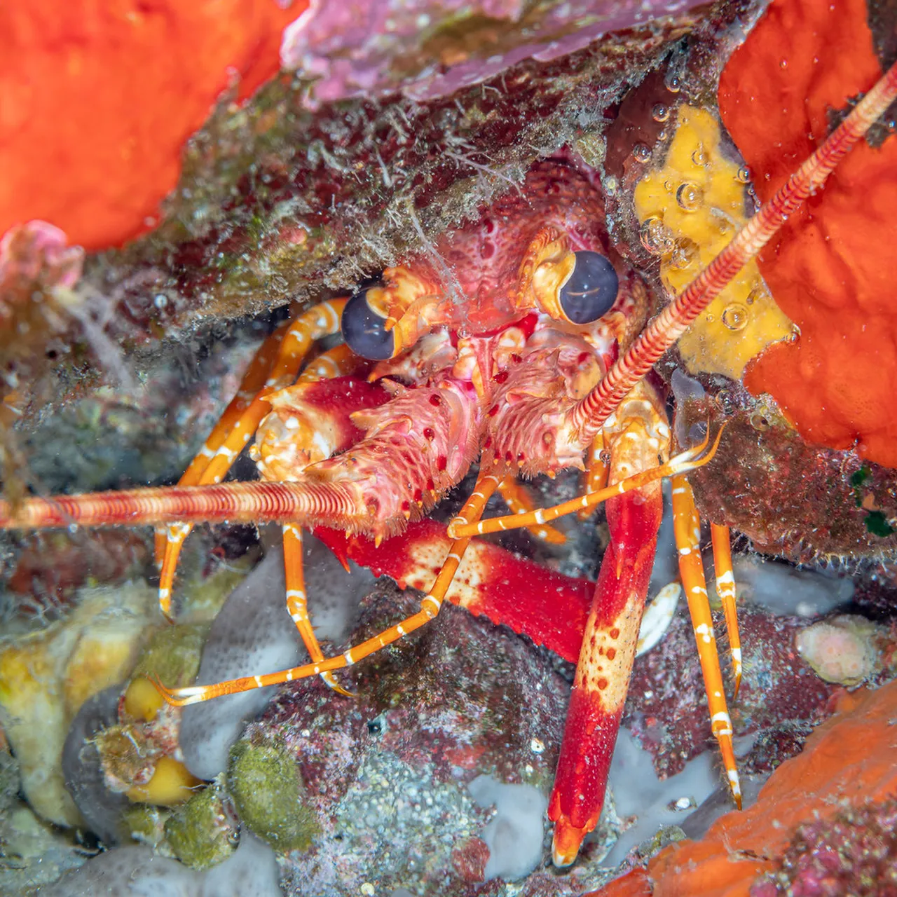 3. Experience the Thrills of Deep-Sea Fishing in Kailua-Kona