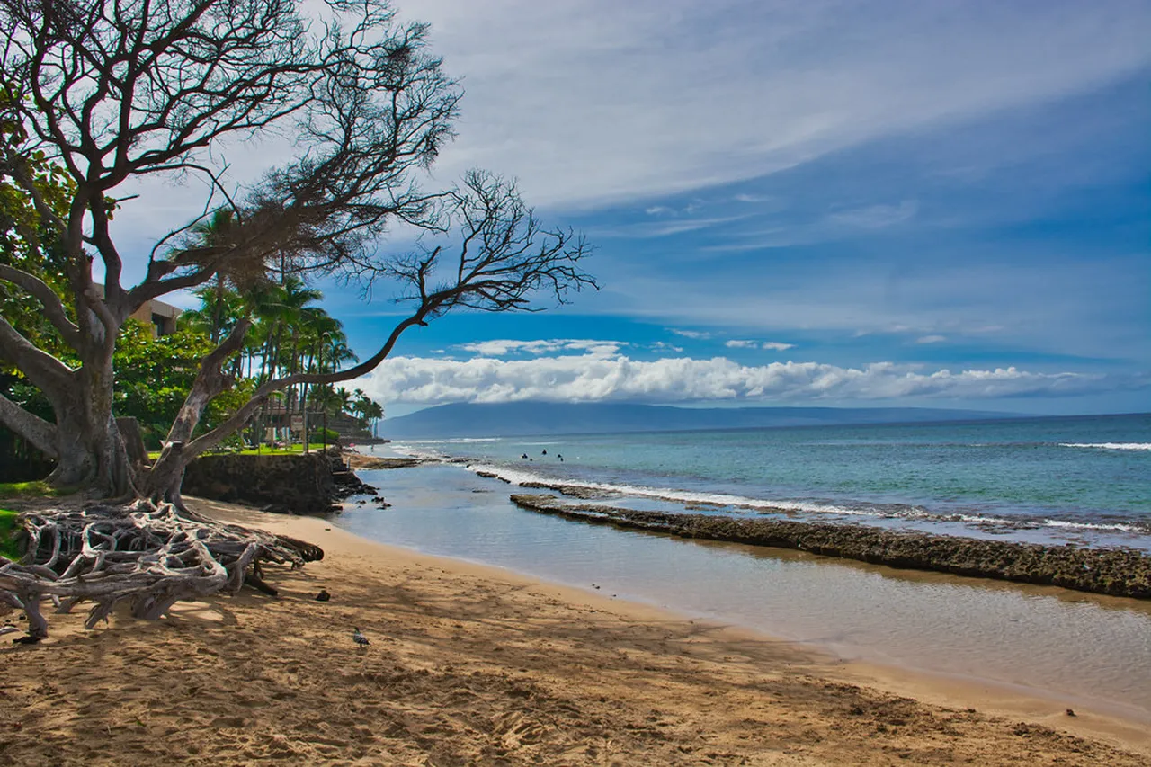 5. Sunset Cruise along the West Maui Coast: Breathtaking Views