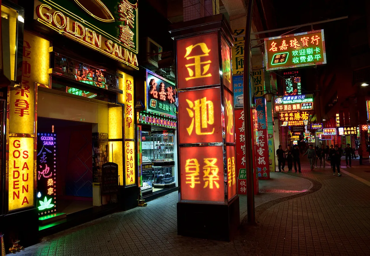 4. Spectacular Shows: Entertainment Options That Light Up the Night