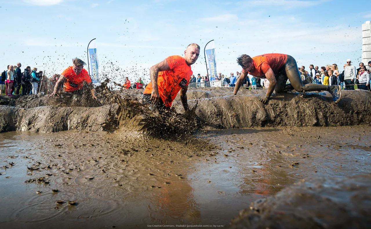 1. Malmö Festival: Celebrating Local Culture and Cuisine