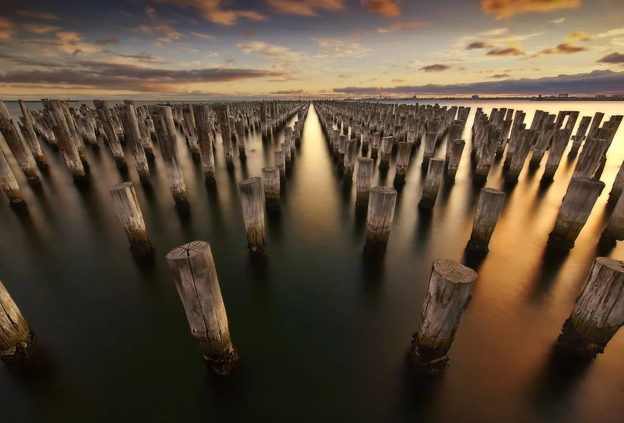 1. Explore the Royal Botanic Gardens: A Green Oasis in the City