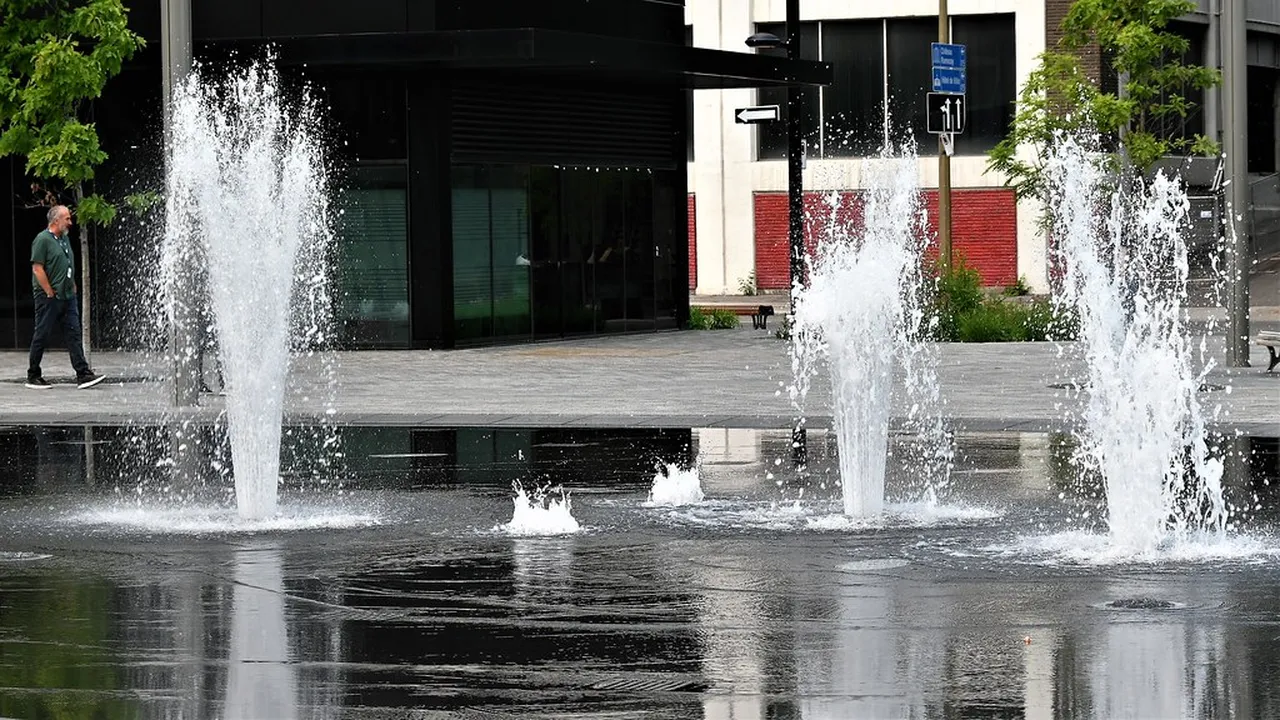5. Discover Montreal’s Art Scene: Visit the Museum of Fine Arts