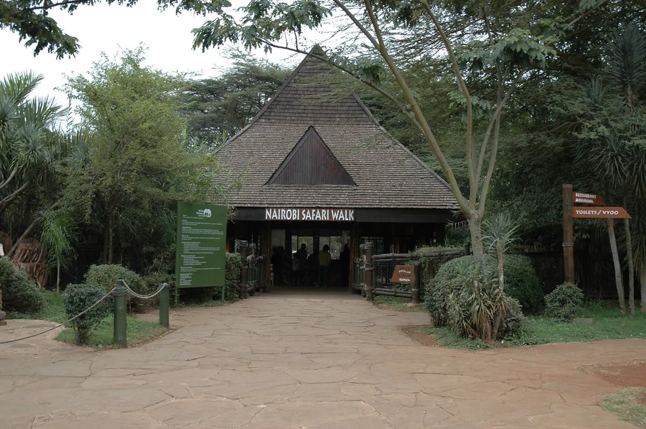 1. Embrace Wildlife: A Safari at Nairobi National Park
