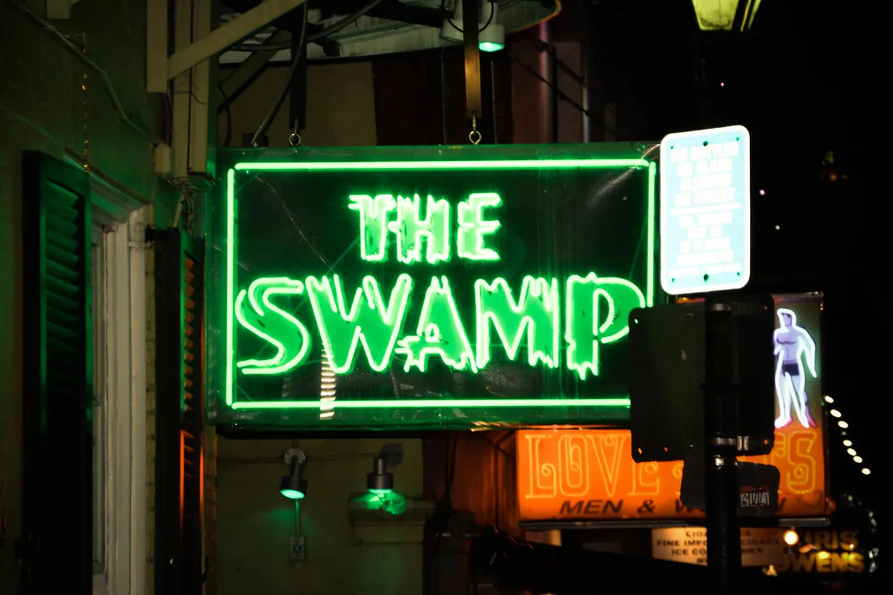 3. Discover the Unique Bars of Magazine Street: A Local’s Favorite