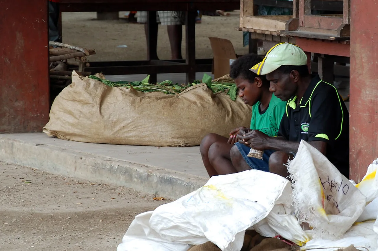 4. Vanuatu Cultural Center: A Gateway to Local Heritage
