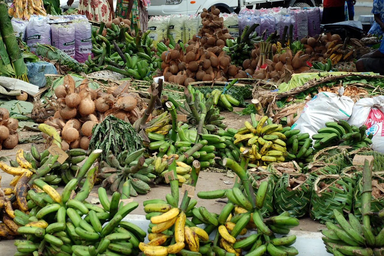 2. Exploring the Port Vila Markets: A Feast for the Senses