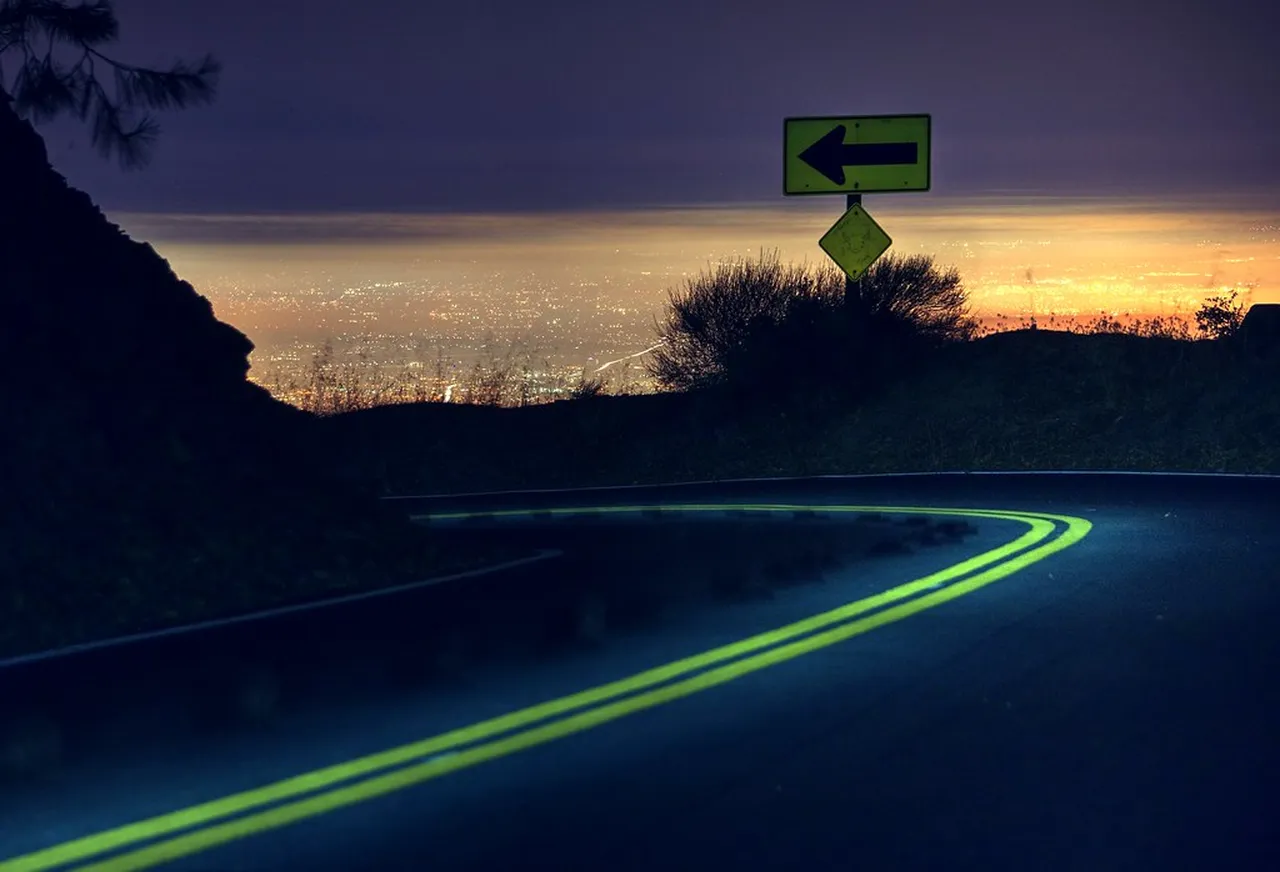 4. Stroll Through Golden Gate Park: Nature in the Heart of the City