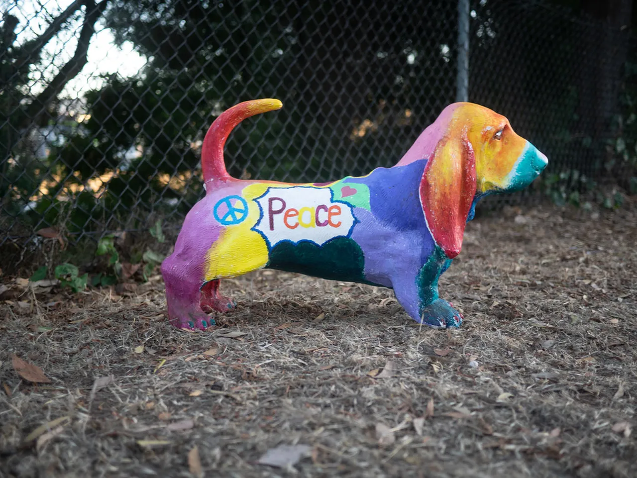 3. Discover Fisherman’s Wharf: A Vibrant Waterfront Experience