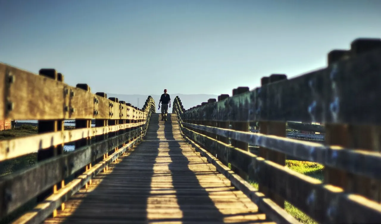 2. Explore Alcatraz Island: The Infamous Former Prison