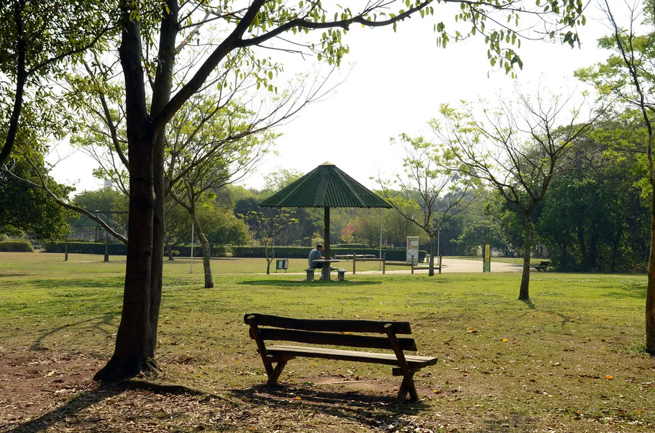 3. Enjoy the Virada Cultural Festival: A 24-Hour Cultural Marathon