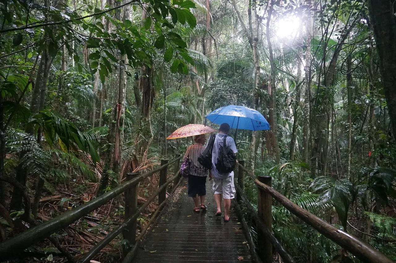 3. Revel in the Vibrant Atmosphere of Mercado Municipal