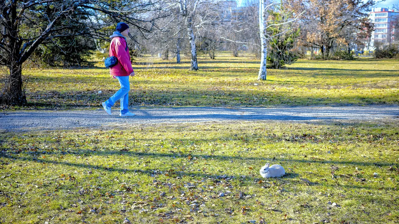 5. Stroll Through the Beautiful Borisova Gradina Park