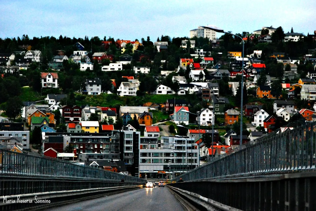 5. Discovering Bakklandet: The Charming Old Town