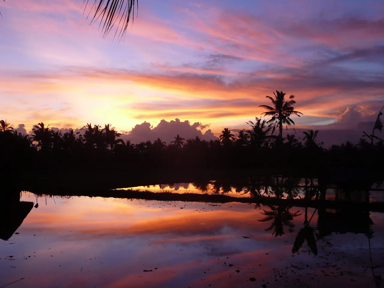 4. Explore Sacred Monkey Forest: Nature Meets Spirituality