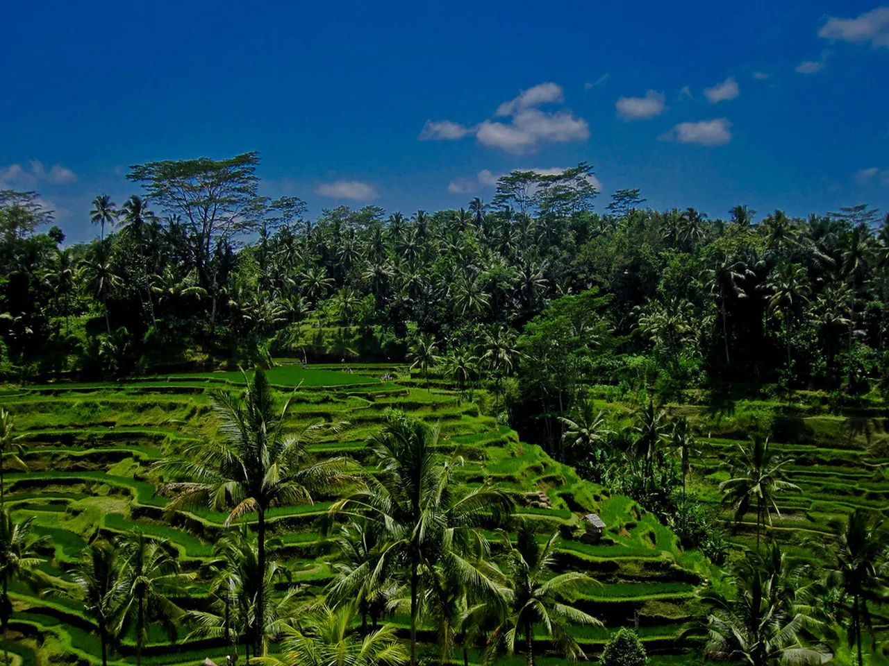 4. Experiencing Traditional Balinese Dance: A Cultural Showcase at Ubud Palace