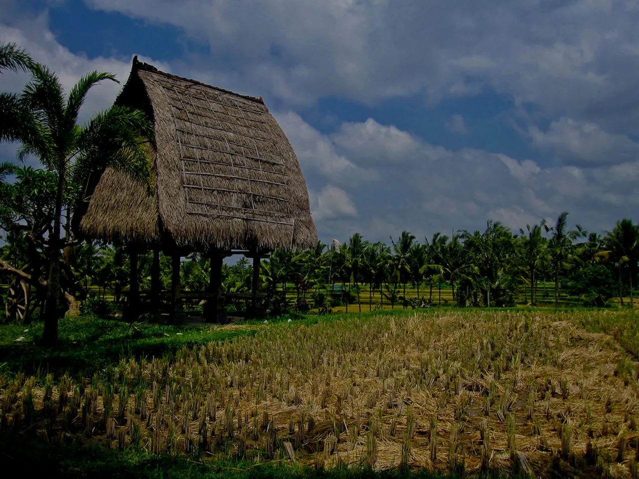 2. Visiting the Sacred Monkey Forest: Encountering Bali’s Playful Residents