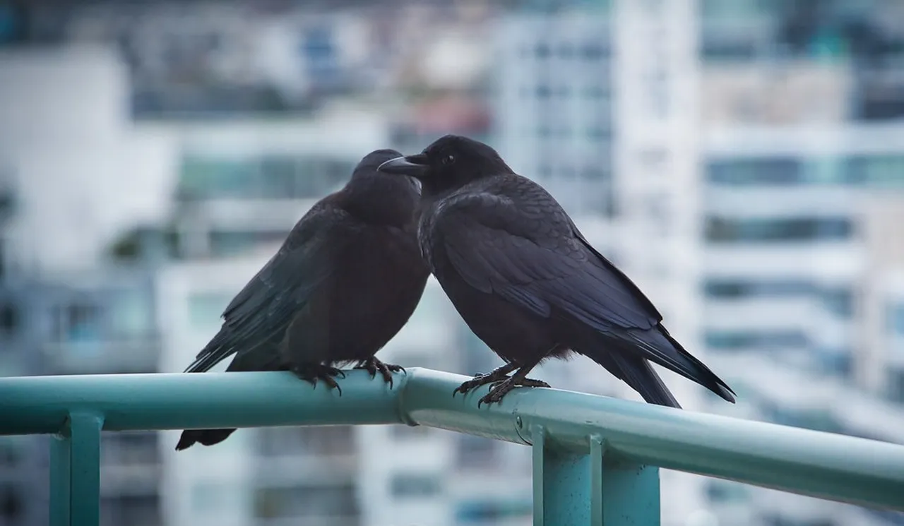 4. Enjoying the Diverse Culinary Scene: Flavors of Vancouver